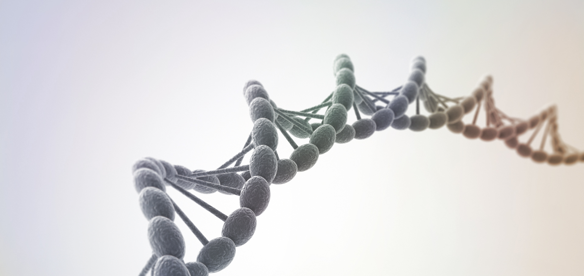 A 3D illustration of a DNA double helix